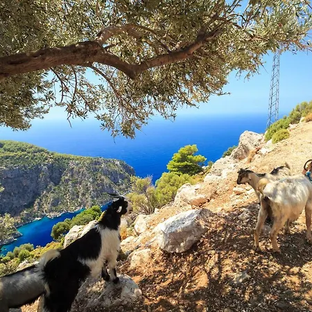 Das Familienfreundliche Maisonette Nese Mit Direktem Zugang Zum Pool Φετιγιέ